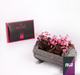عکاسی از محصولات گلهای زعیم