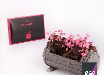 عکاسی از محصولات گلهای زعیم